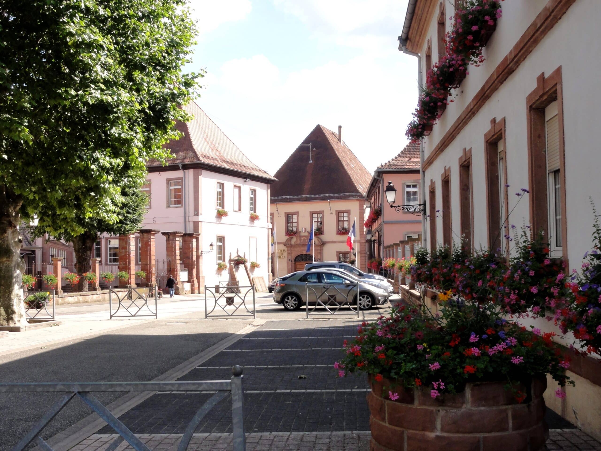 nettoyage extreme Lauterbourg