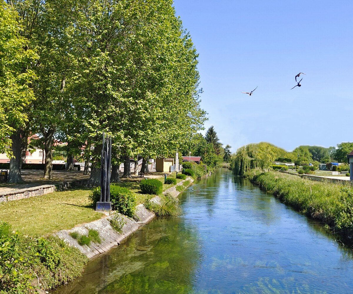 nettoyage extreme Rhinaeu