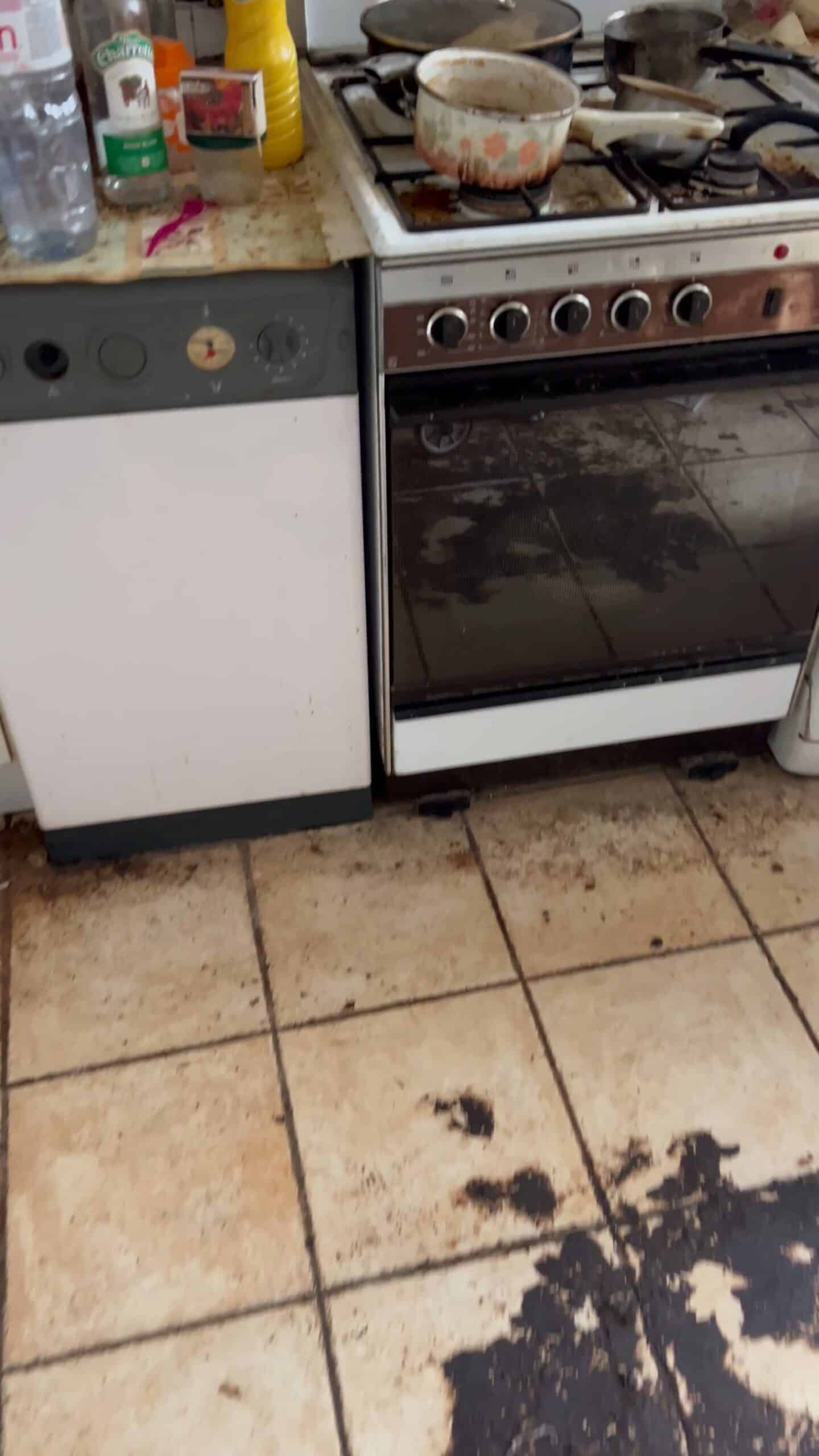 nettoyage logement insalubre