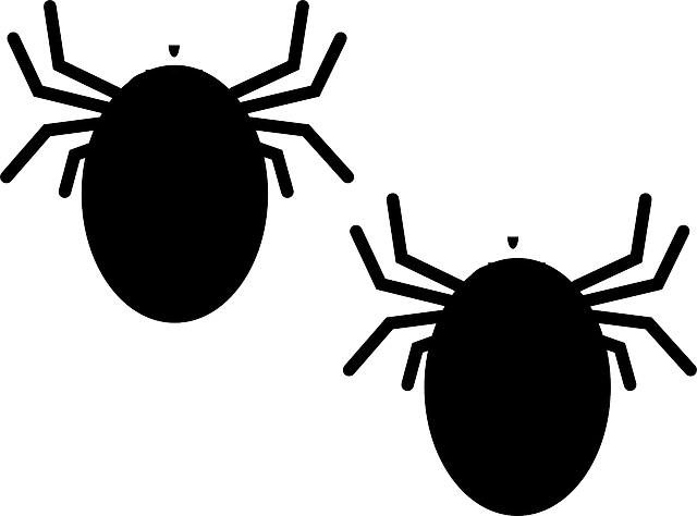 infestation punaise de lit