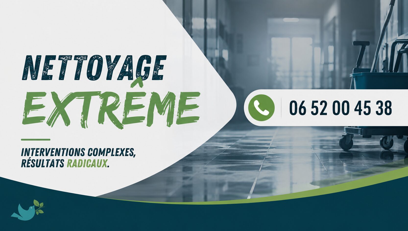 Équipe spécialisée en nettoyage extrême à Couzon-au-Mont-d'Or avec numéro de téléphone 06 52 00 45 38 et services de désinfection, débarras et remise en état.