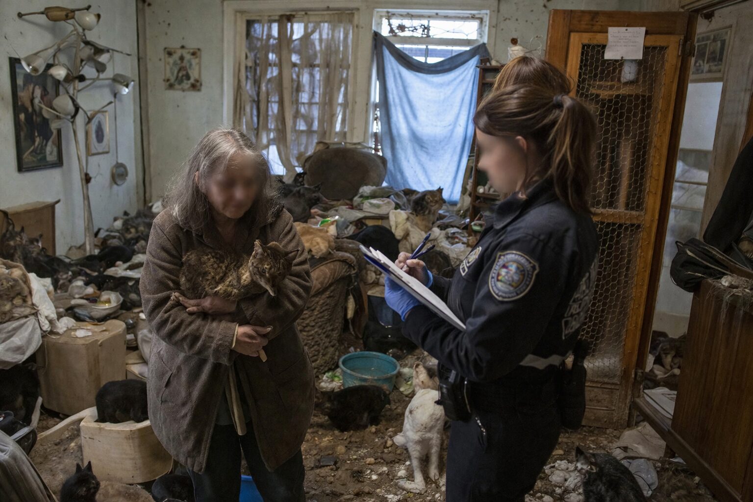 Personne âgée entourée de nombreux chats dans un logement encombré illustrant le syndrome de Noé
