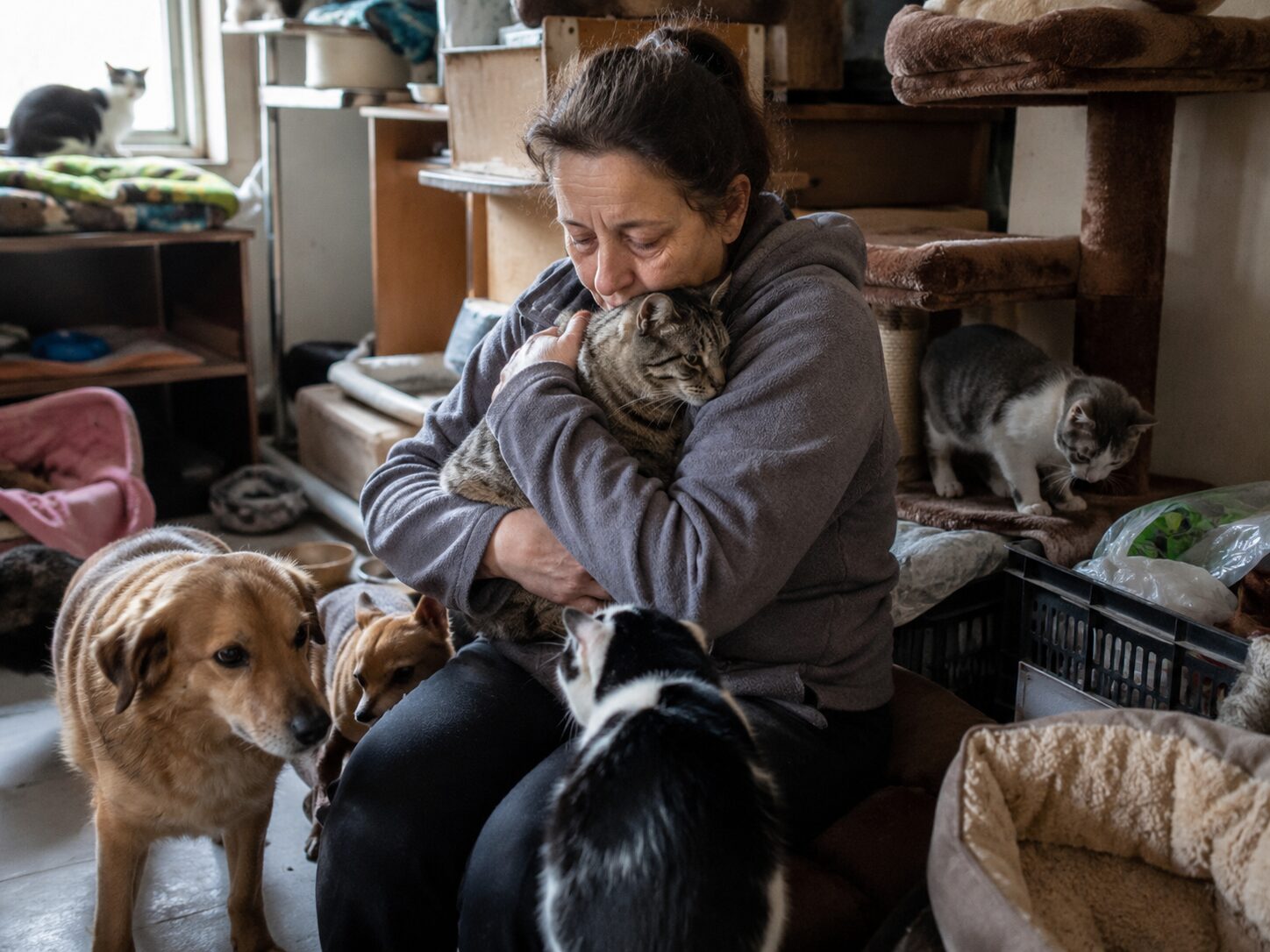 Personne entourée de nombreux chats et chiens dans un logement encombré, illustrant le syndrome de Noé et le rôle des animaux dans la régulation émotionnelle.