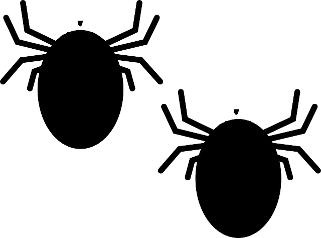 Punaises de lit : comment prévenir une infestation ?