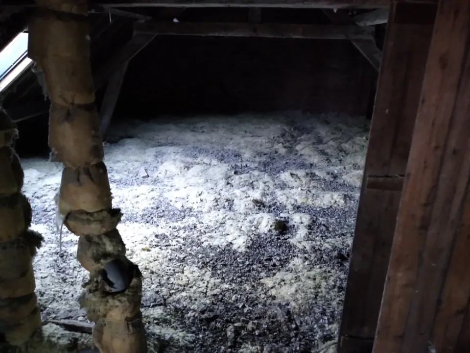 Enlèvement des Fientes de Pigeon sous les Combles