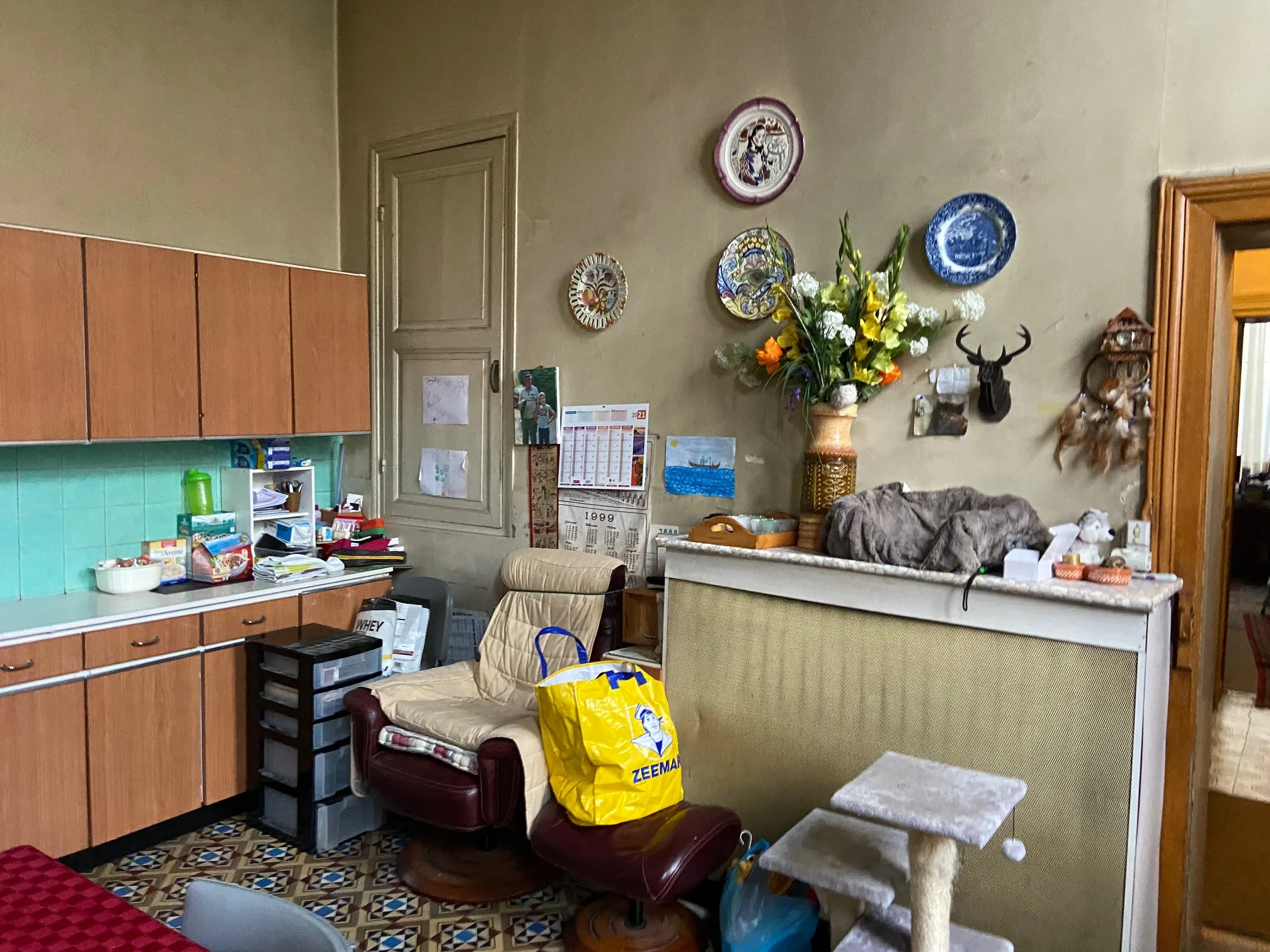 Débarras, nettoyage, désinfection et désinsectisation d’un appartement à Valenciennes ou Denain