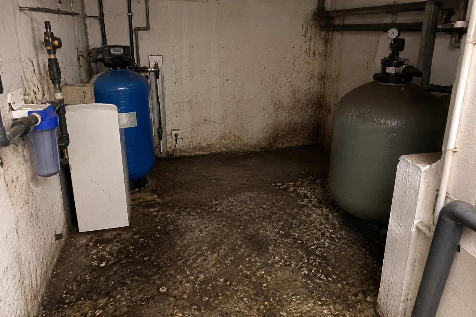 Local technique souillé par du guano avec traces sur le sol et les murs avant nettoyage et désodorisation sans ventilation mécanique