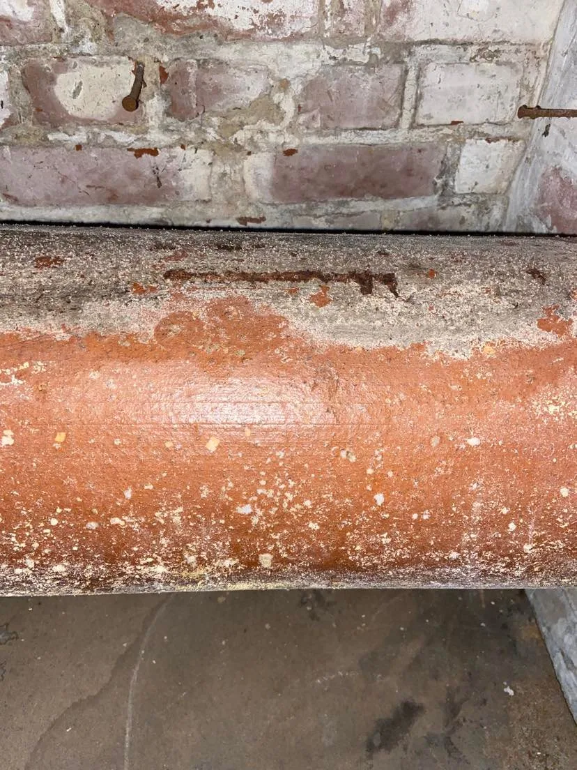 Désinfection de logement contaminé par des moisissures : ce qu’il faut savoir.