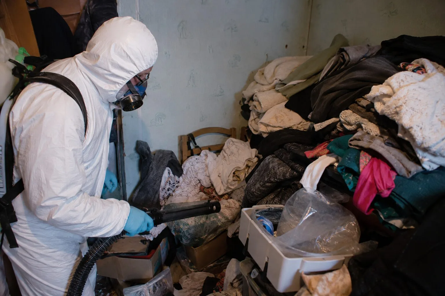Comment traiter une infestation de mites textiles dans un logement encombré ?