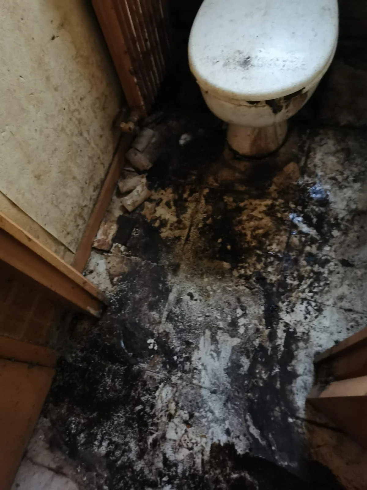 Désencombrer un logement Diogène à Marseille : comment faire