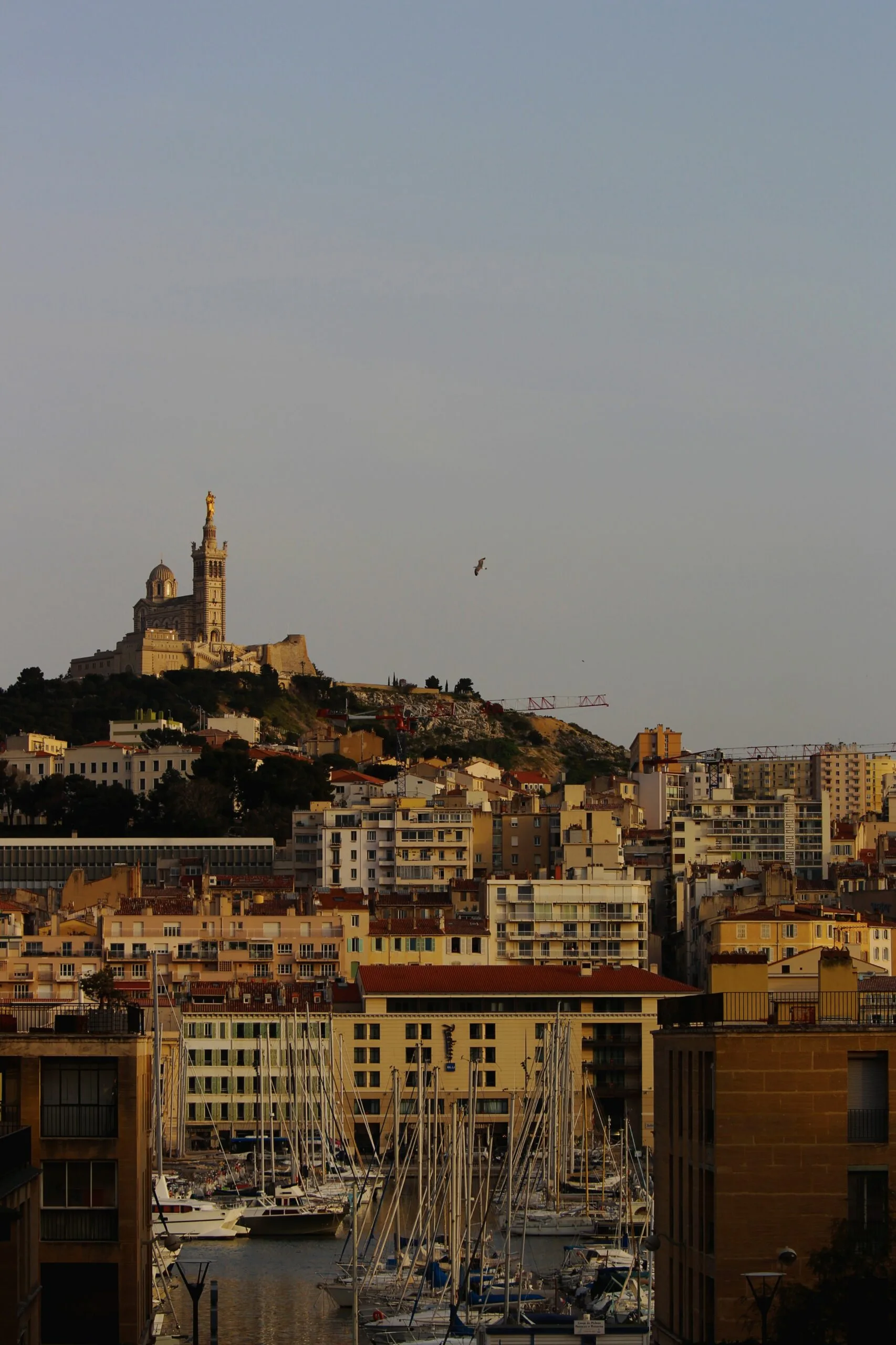 Pourquoi Marseille détient-il le record de logements insalubres en France ?