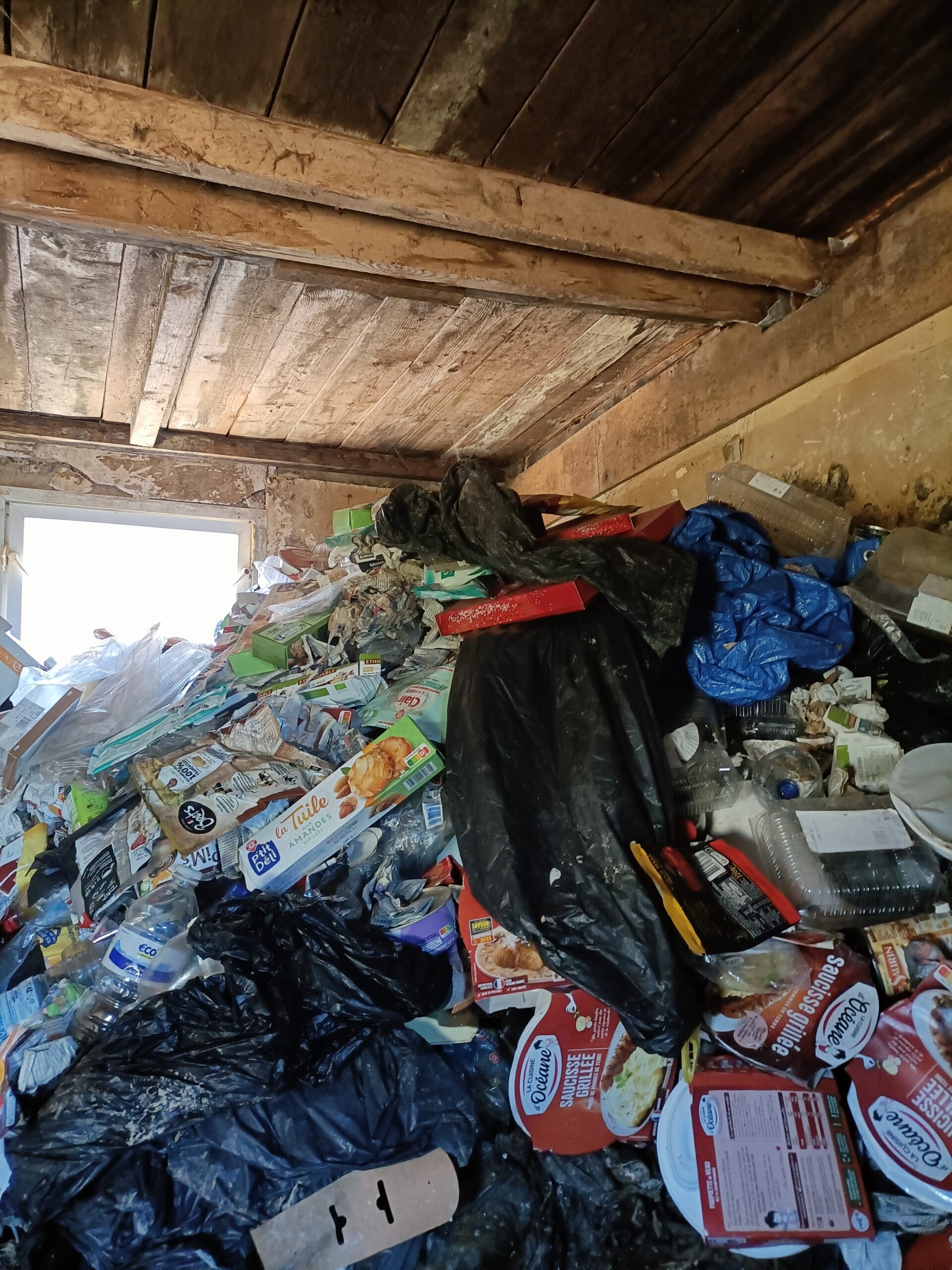 Logement très encombré de déchets et d’objets avant tri et nettoyage Diogène