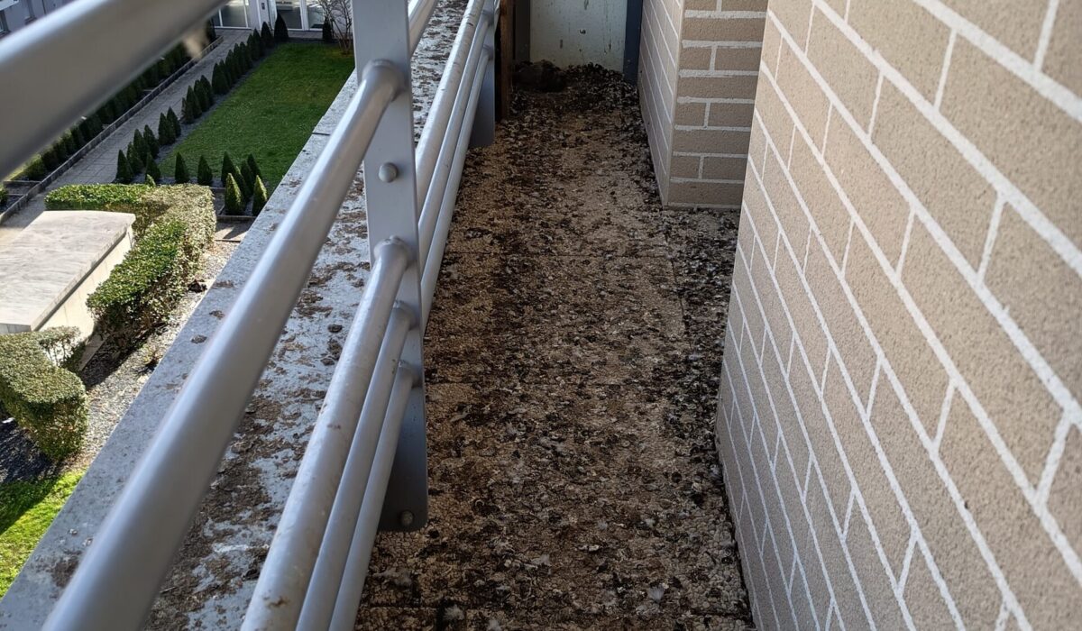 nettoyage fiente pigeon balcon