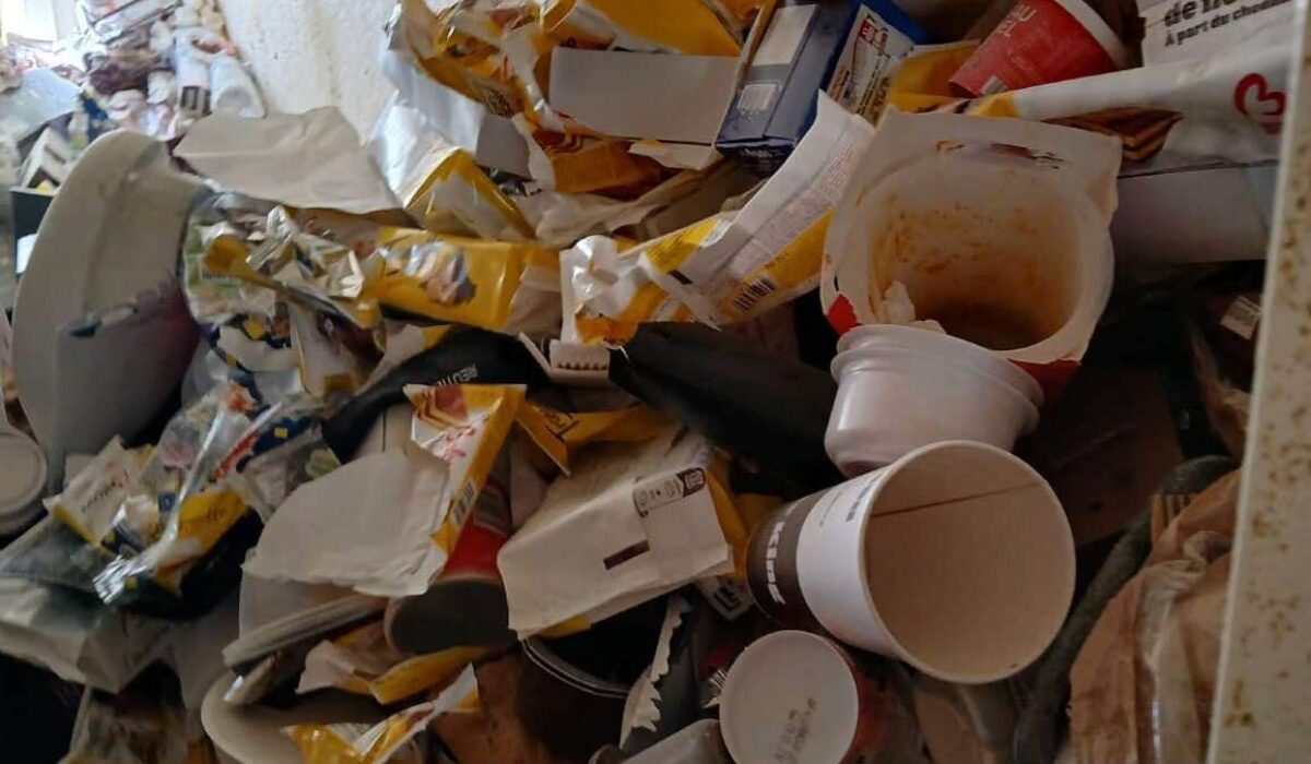 vider un logement syndrome de diogene