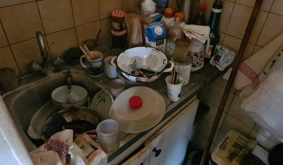 nettoyage syndrome de diogene oise