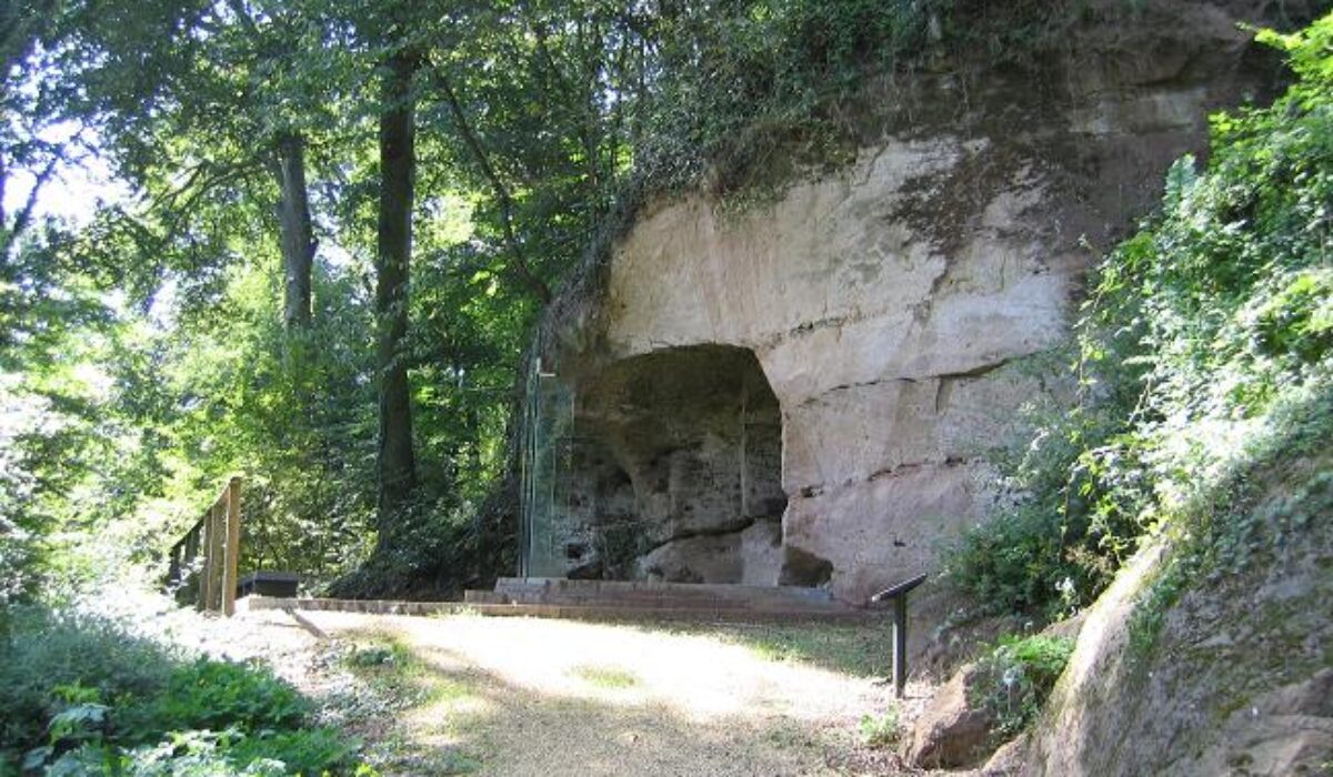 nettoyage extreme Cocheren