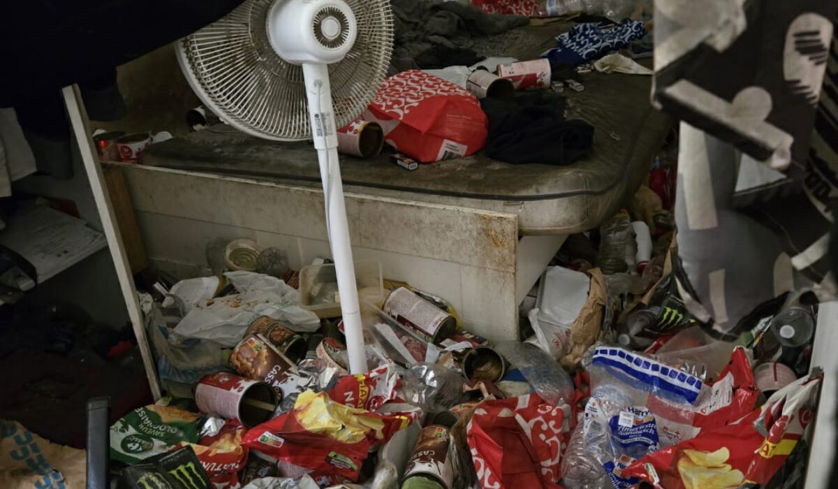 danger sanitaire syndrome diogene