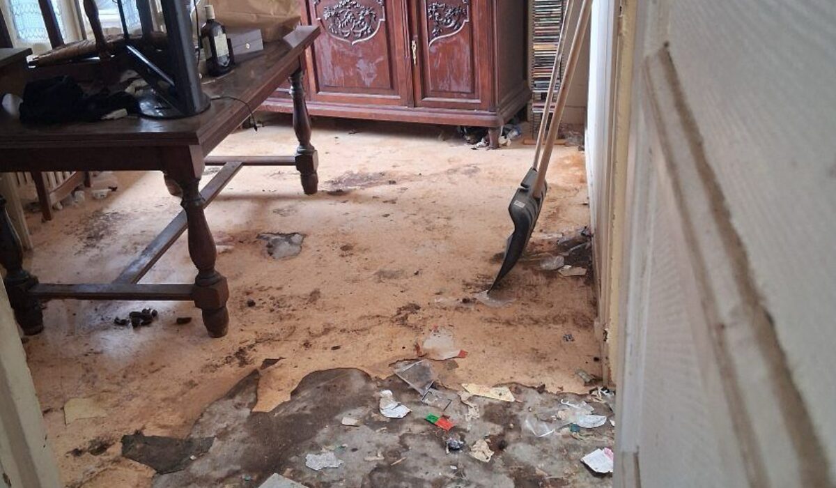 nettoyage maison puces