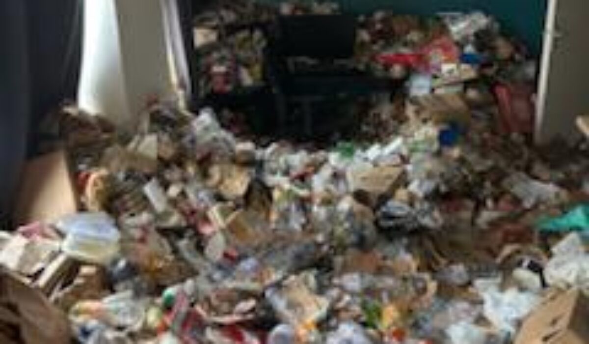 Nettoyage syndrome de diogene nord