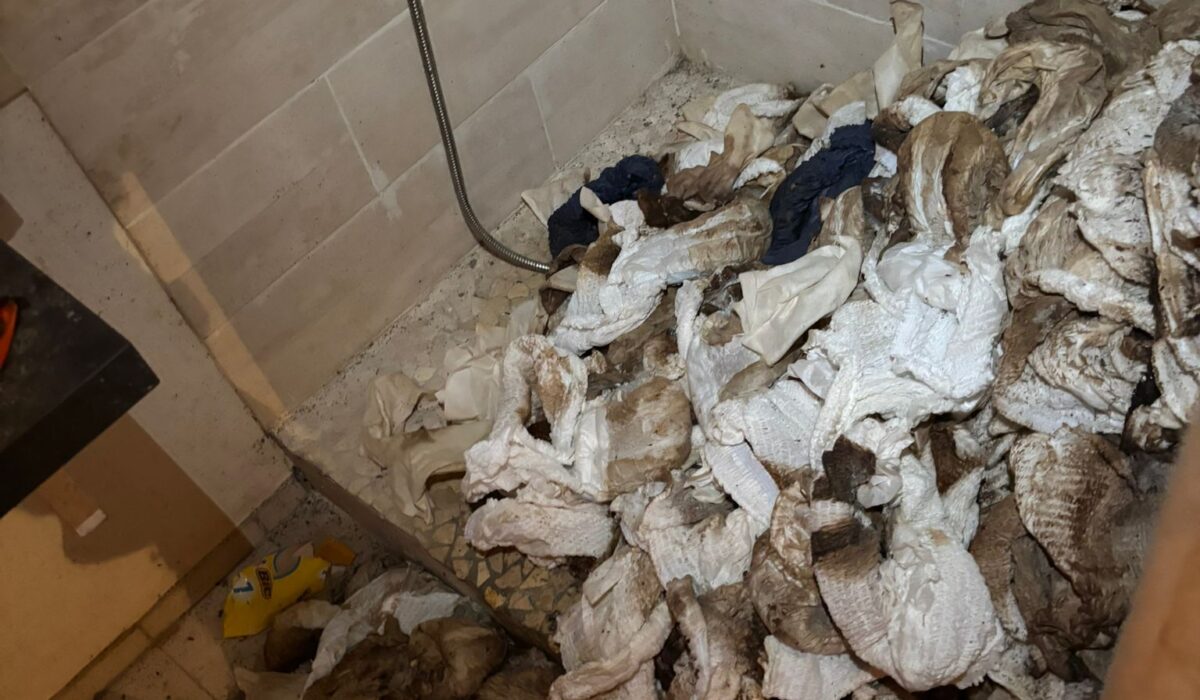 nettoyage syndrome de diogene aisne