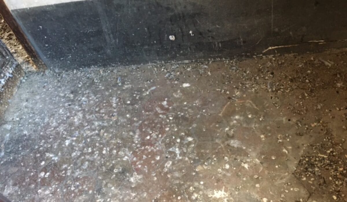 fiente de pigeon seche