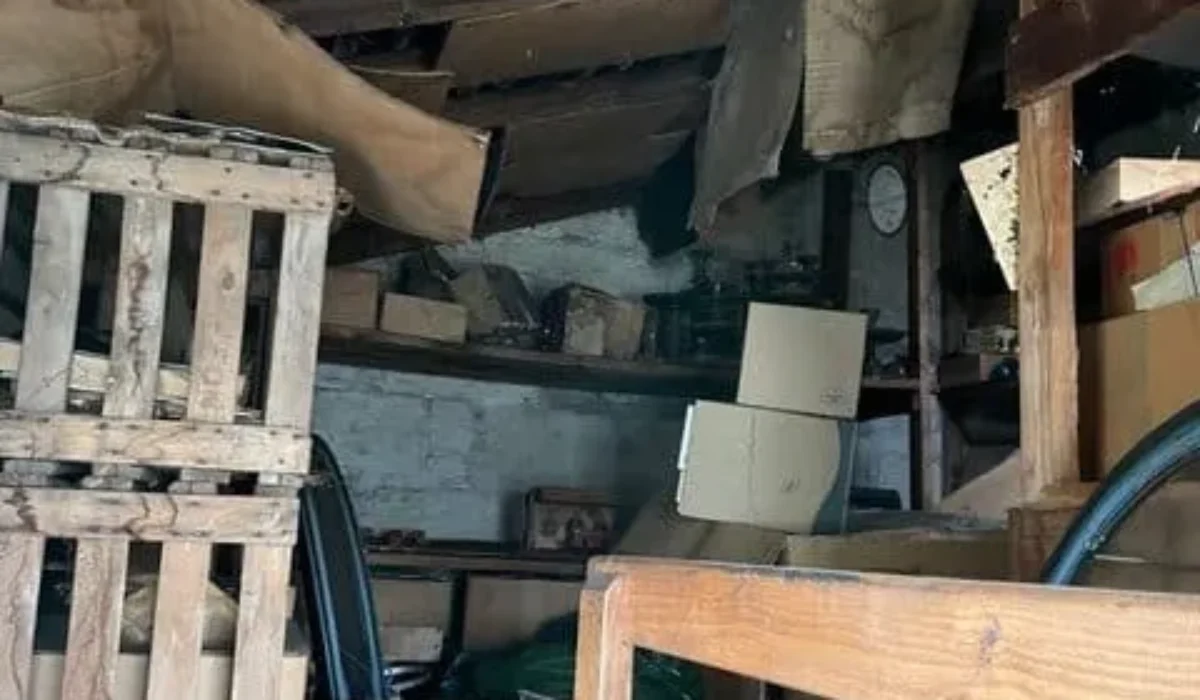 Débarras de cave : 6 étapes indispensables pour tout vider en un week-end