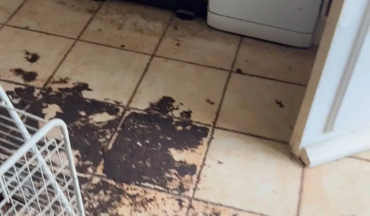 Comment une maison devient insalubre ?