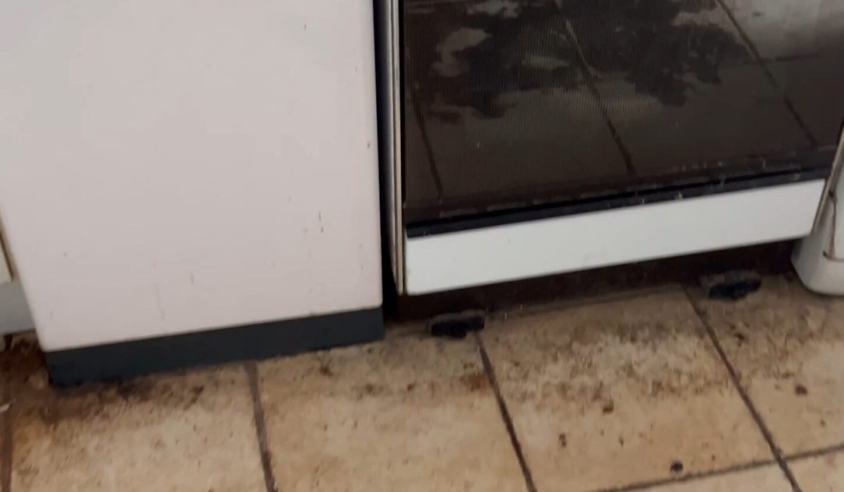 nettoyage logement insalubre