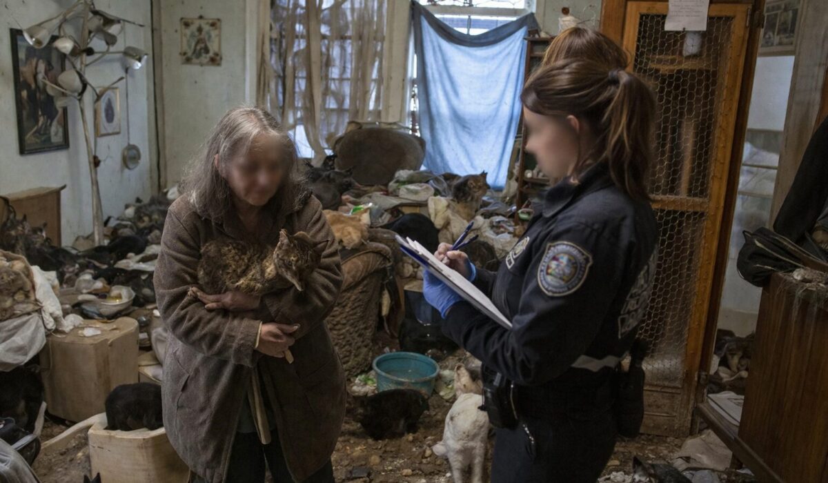 Personne âgée entourée de nombreux chats dans un logement encombré illustrant le syndrome de Noé