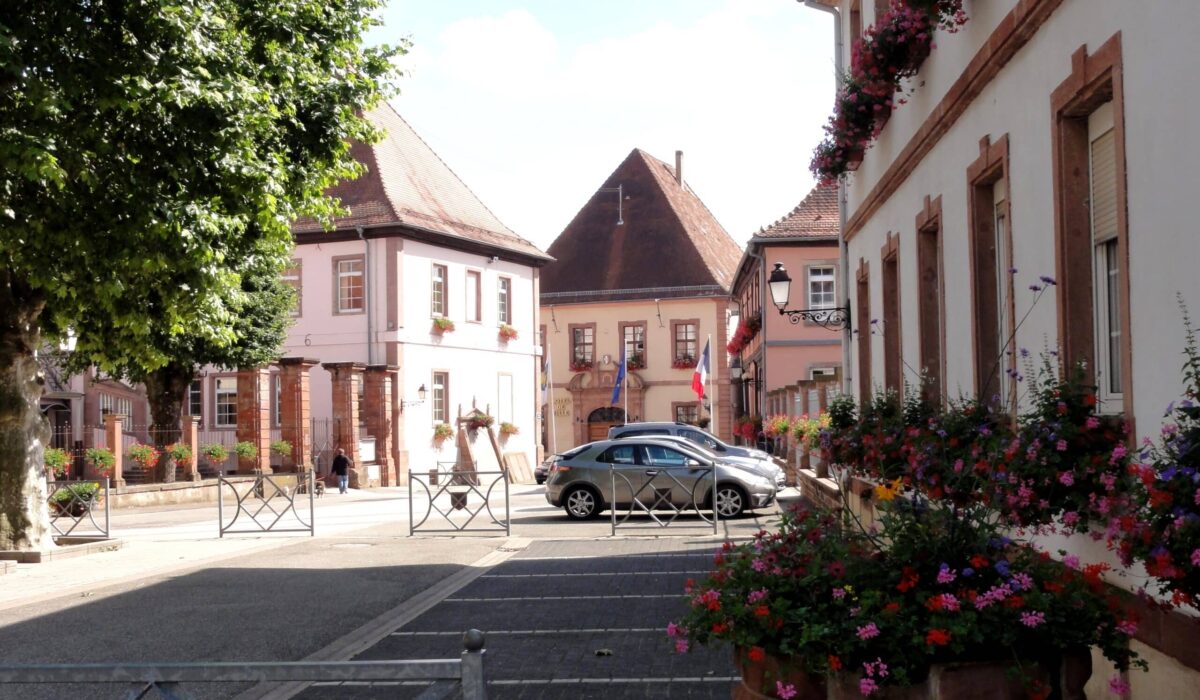 nettoyage extreme Lauterbourg