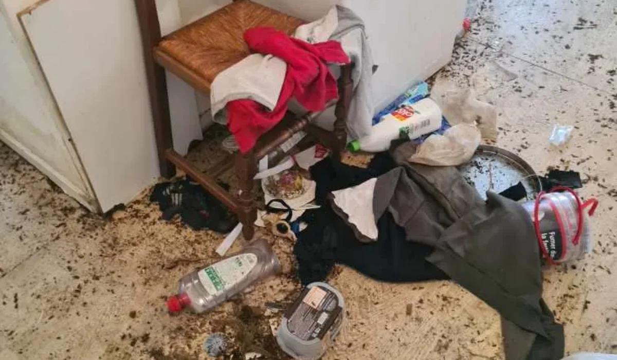 NORD NETTOYAGE à Saint-Quentin : expertise en nettoyage de logements insalubres