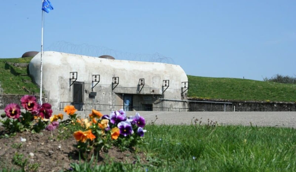 nettoyage extreme Rohrbach-lès-Bitche