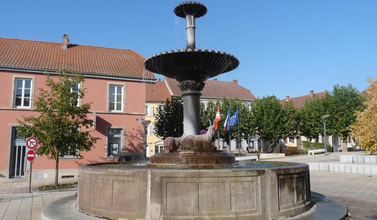 nettoyage extreme Sarre-Union