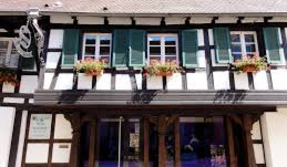 nettoyage extreme Truchtersheim
