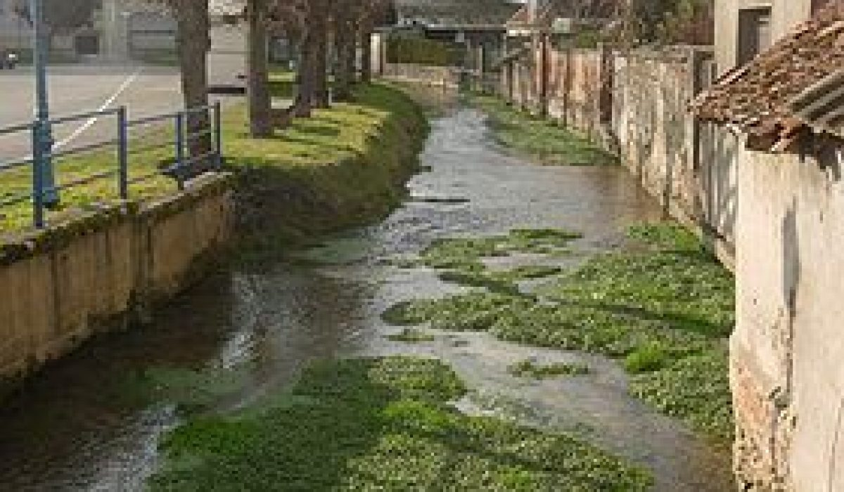 nettoyage extreme Vendeuvre-sur-Barse