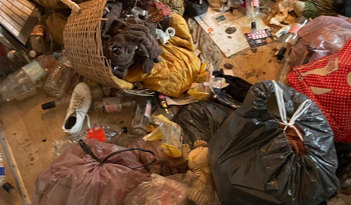 syndrome de diogène