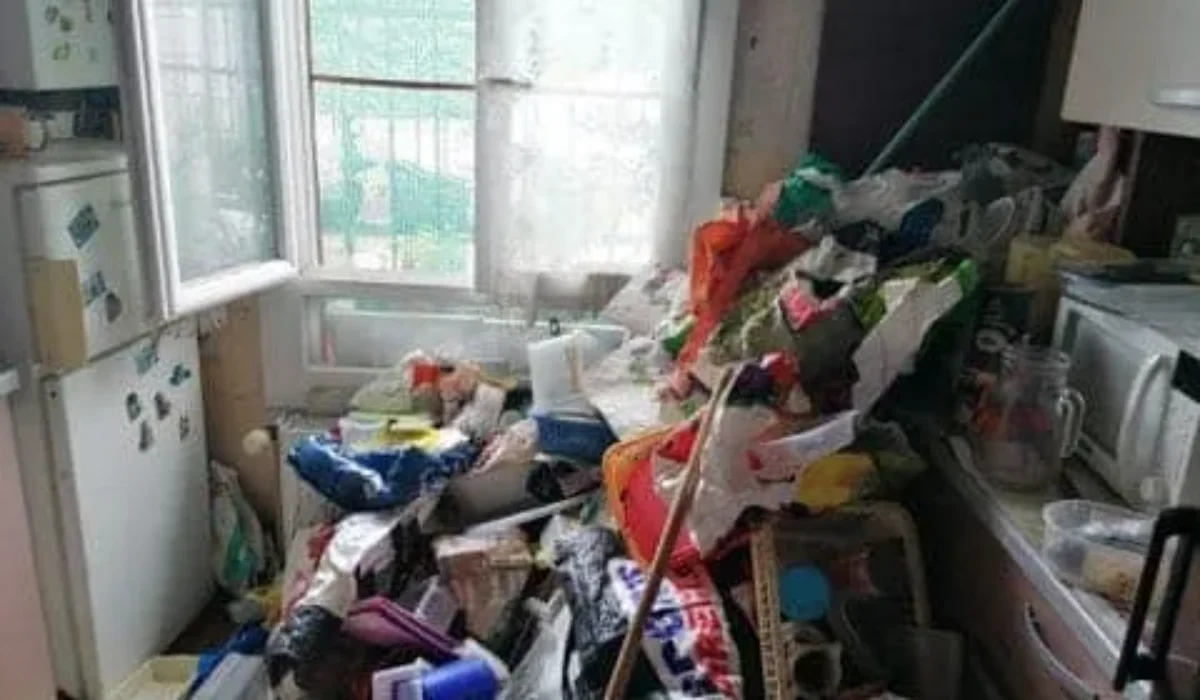 Appartement Diogène : Comment faut-il réagir ?