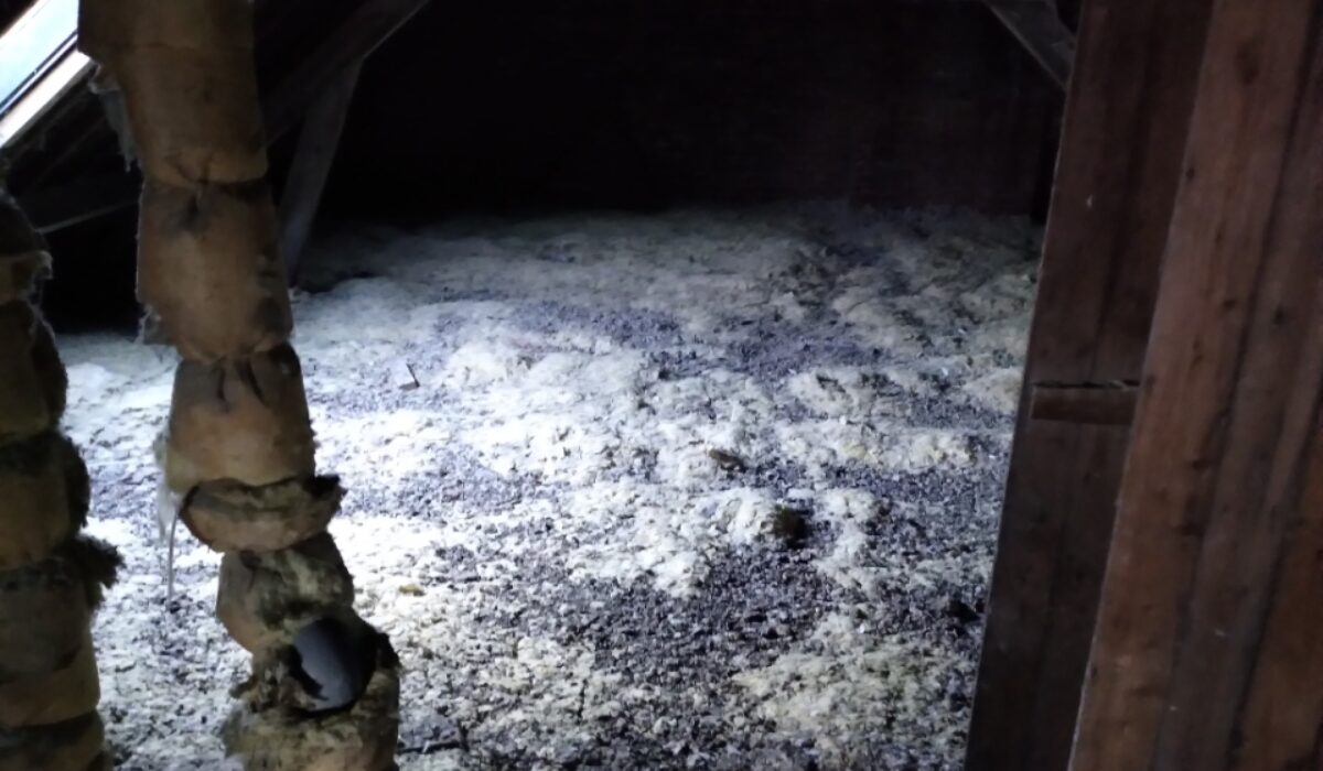 comble-fiente-pigeon