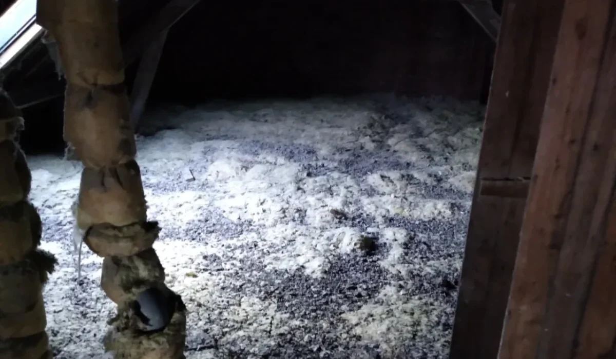 Enlèvement des Fientes de Pigeon sous les Combles