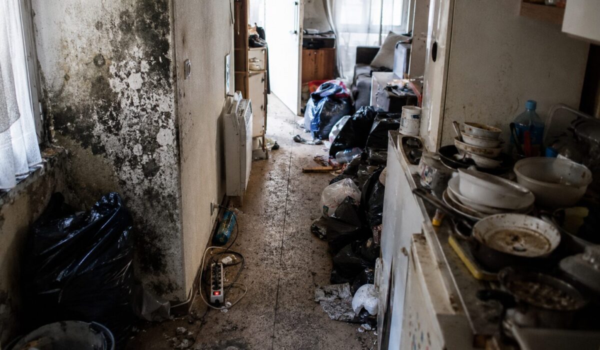 Logement dangereux en situation d’incurie avec moisissures, déchets, vaisselle sale et risques électriques visibles