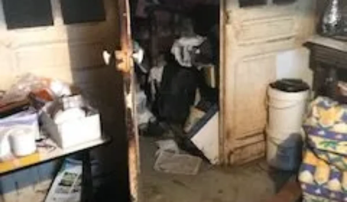 Débarras cave : Comment gagner du temps et de l’énergie ?