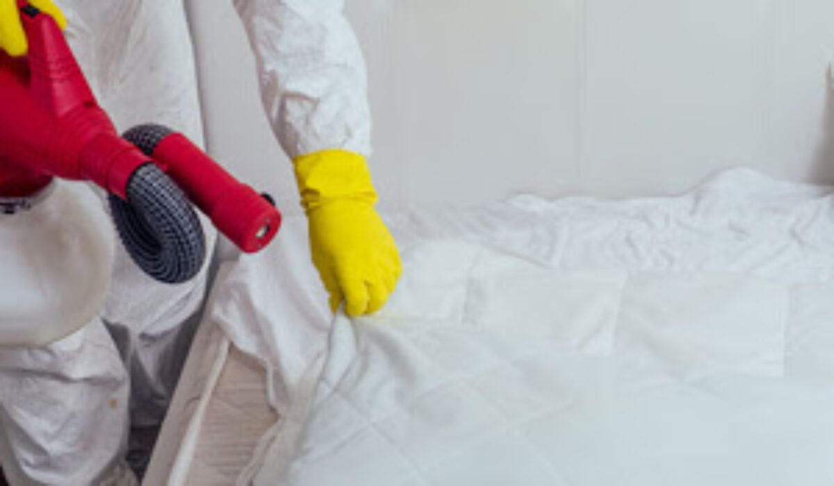 Entreprise de désinsectisation