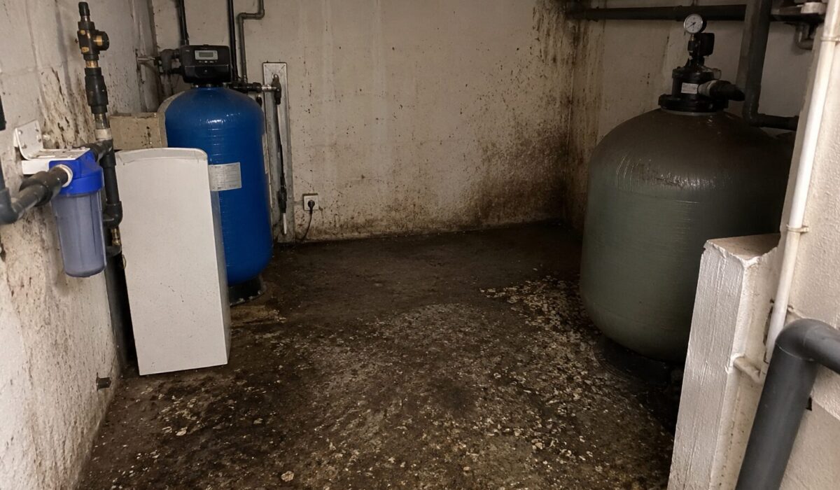 Local technique souillé par du guano avec traces sur le sol et les murs avant nettoyage et désodorisation sans ventilation mécanique