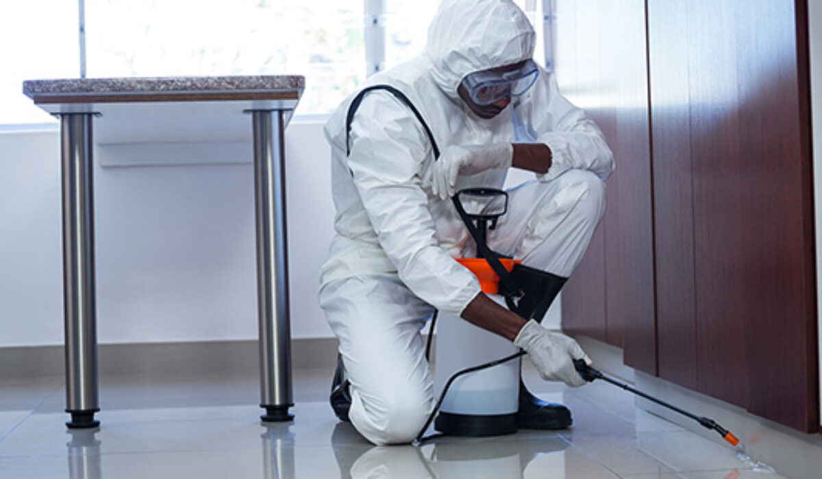 Entreprise désinfection