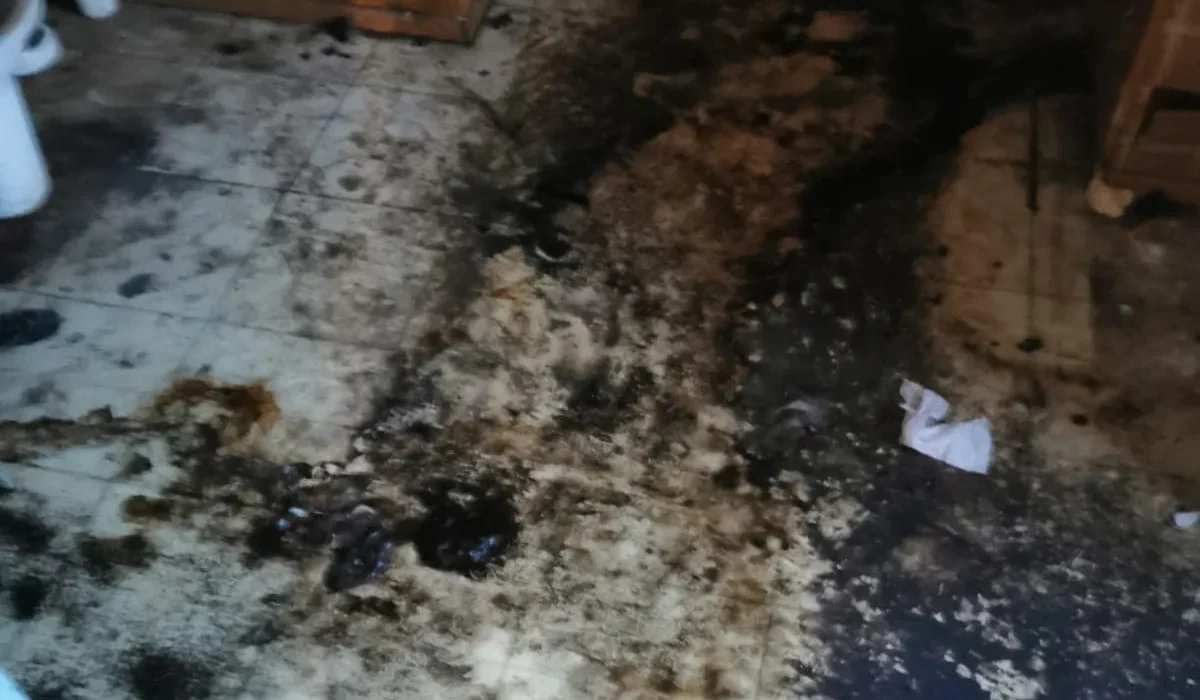 Harnes : Nettoyage de maison sale pour des logements insalubres