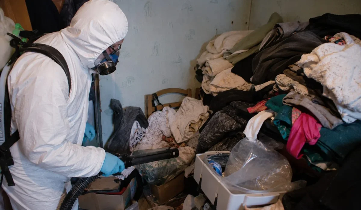Comment traiter une infestation de mites textiles dans un logement encombré ?