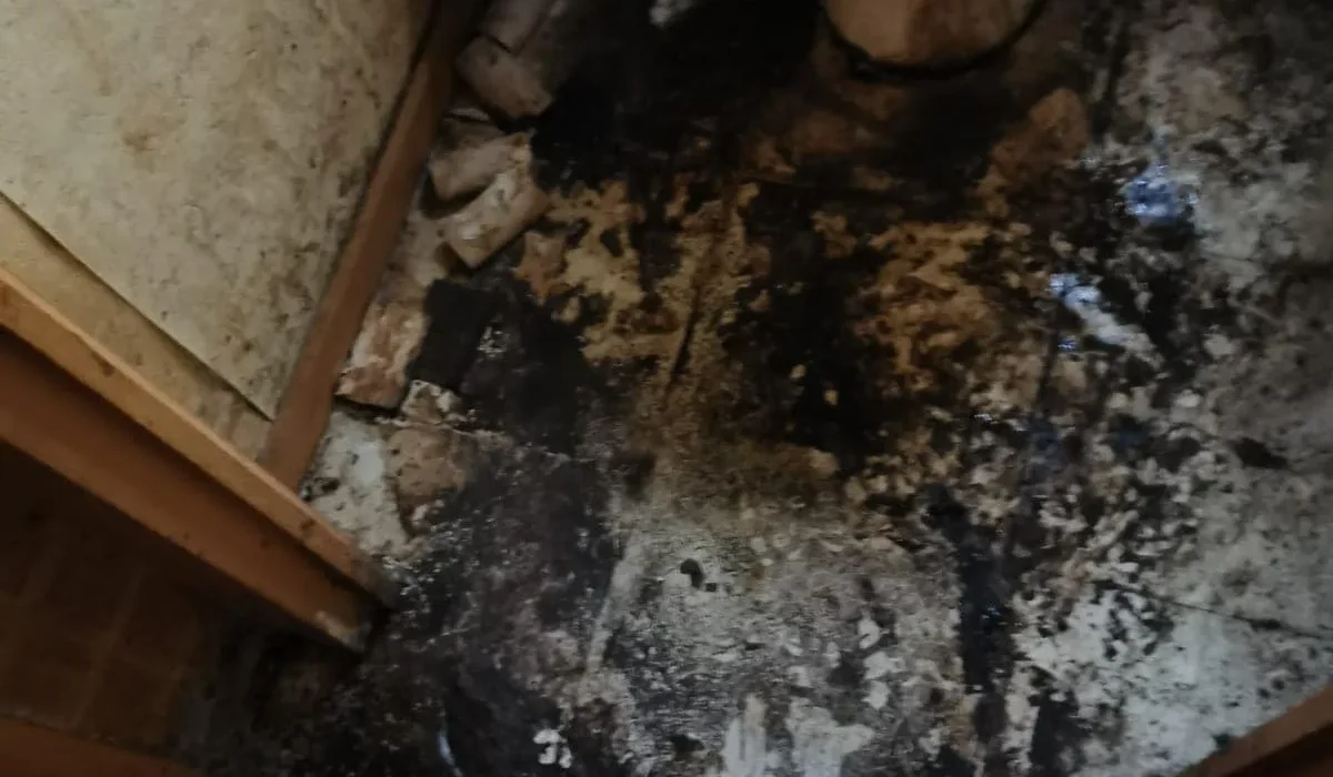 Désencombrer un logement Diogène à Marseille : comment faire