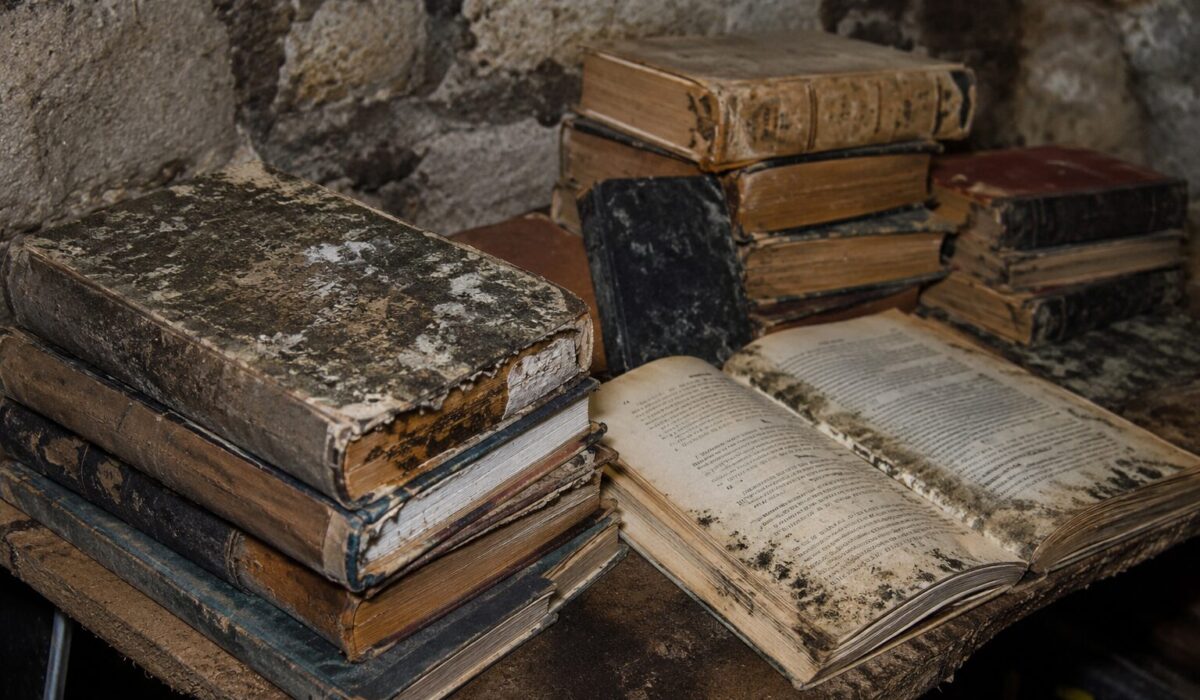 Livres anciens moisis retrouvés dans une cave humide avant nettoyage, tri et évacuation