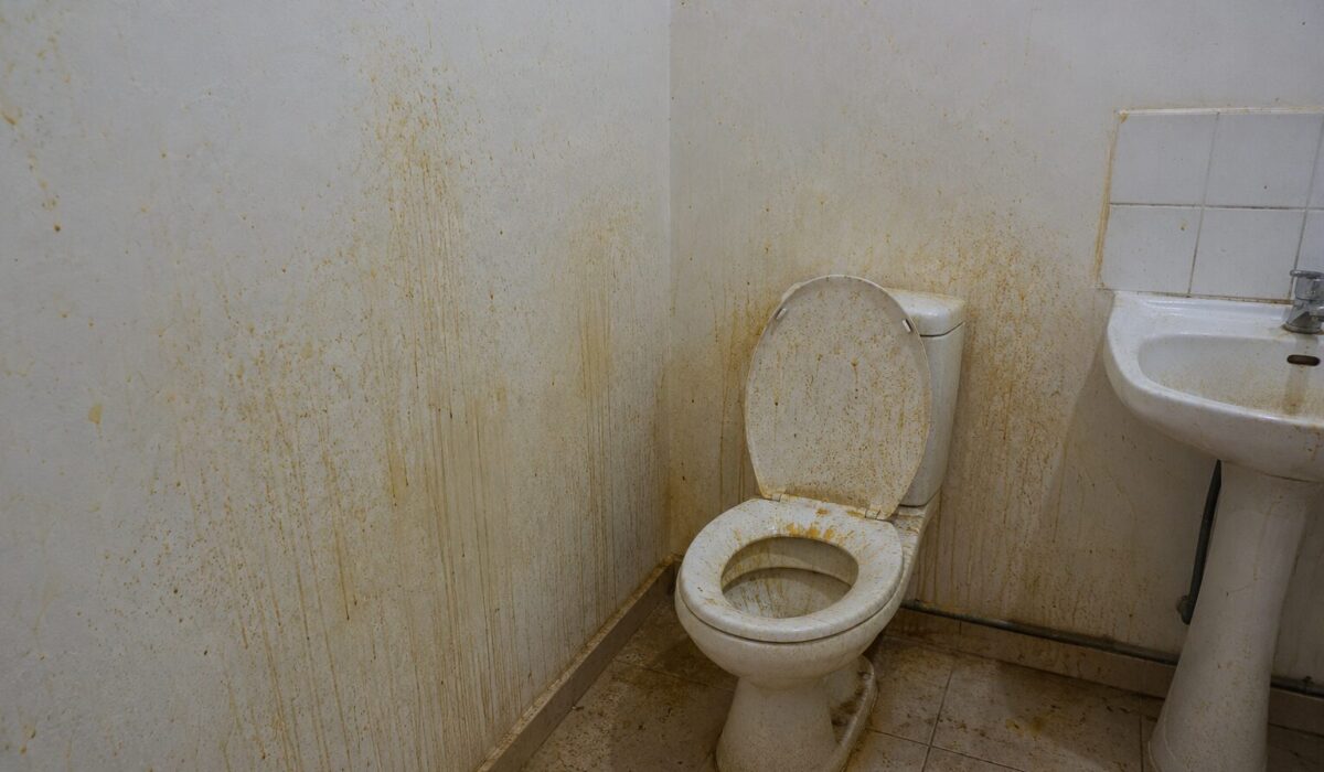 Salle de bain très sale avec traces d’urine projetées sur les murs, ruissellements visibles, toilettes souillées et sol contaminé nécessitant un nettoyage approfondi