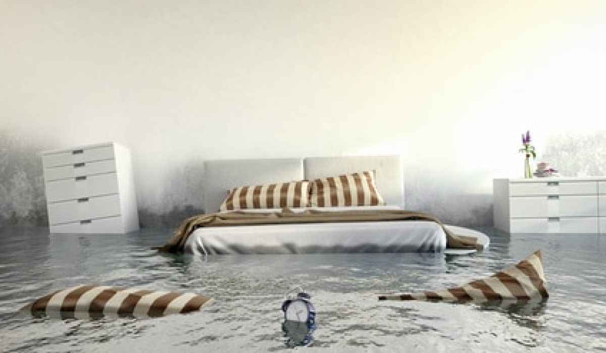 Nettoyage après dégat des eaux